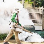 محلات مبيدات حشرية مكة